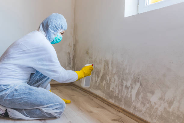 Commercial Mold Remediation assessment for commercial property in Mendham