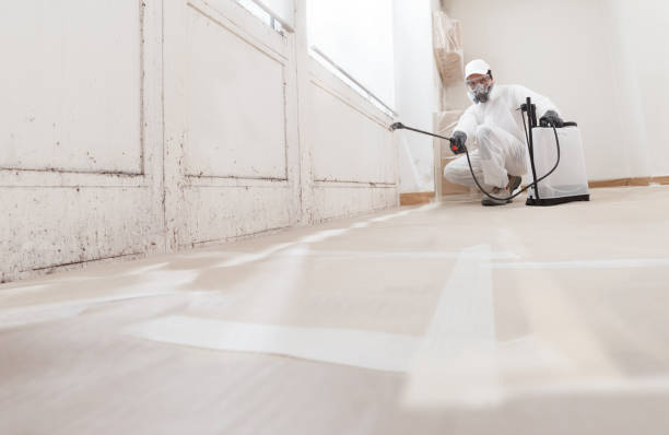 Black mold remediation team in Mendham